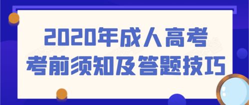 河南选调生考试攻略：全方位备考指南